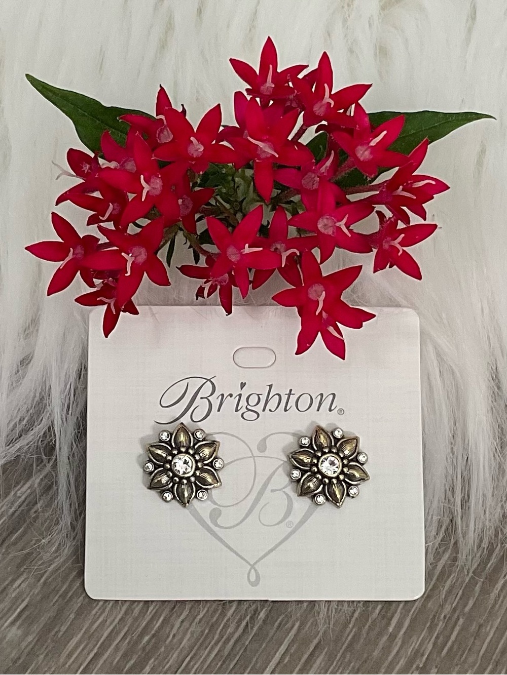 🌺 BRIGHTON Cora Mini Post Earrings